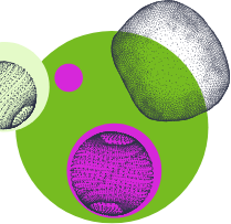 Scientific content abstract shapes